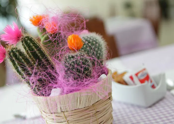 Frühstückspension Armony 111 Gioia Tauro