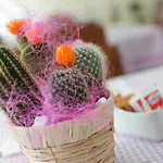 Bed & Breakfast Armony 111 Gioia Tauro