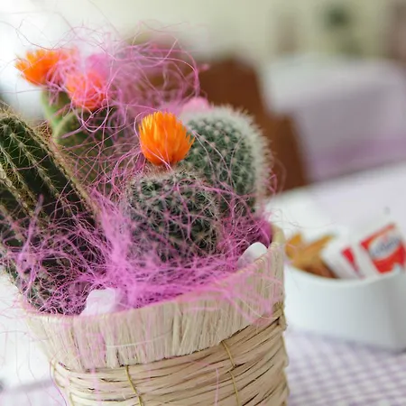 Couette-café Armony 111 Gioia Tauro